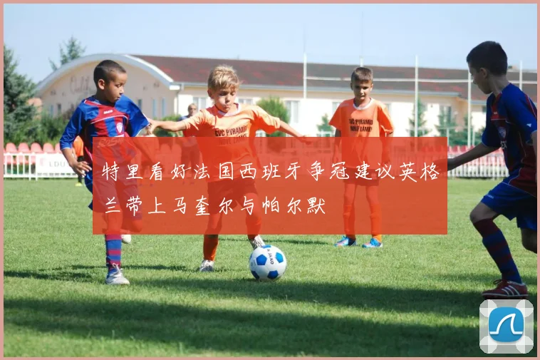 特里看好法国西班牙争冠建议英格兰带上马奎尔与帕尔默