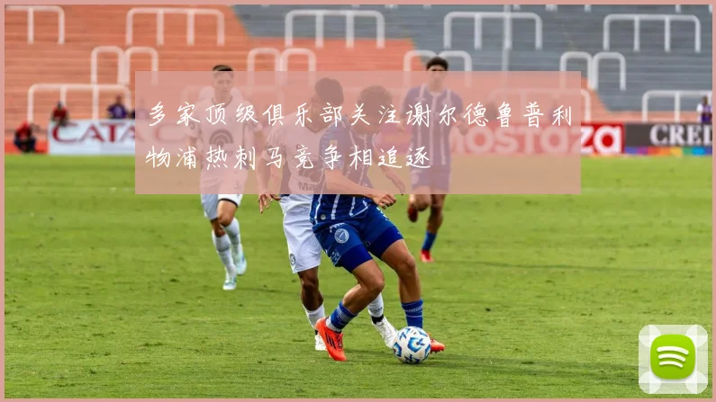 多家顶级俱乐部关注谢尔德鲁普利物浦热刺马竞争相追逐